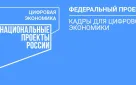 В Башкортостане 3,8 тыс. школьников зачислены на образовательную программу «Код будущего» в рамках нацпроекта